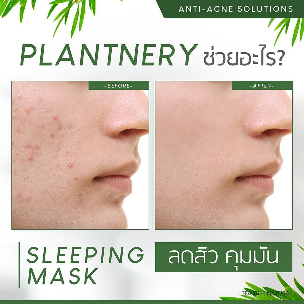 Plantnery Tea Tree Sleeping Mask